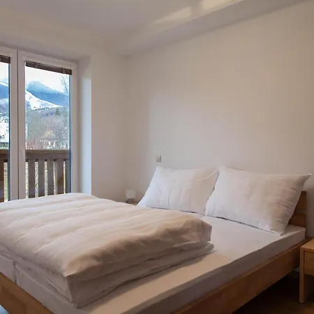 Apartment Borievka